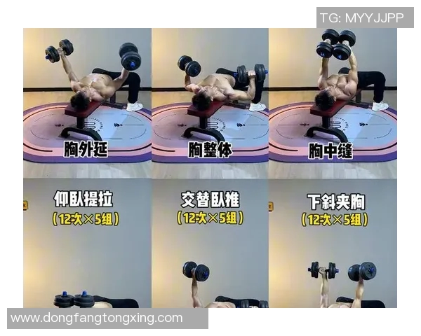 哑铃练胸肌中缝飞鸟技巧详解助你塑造完美胸部线条与力量提升