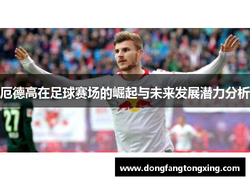 厄德高在足球赛场的崛起与未来发展潜力分析