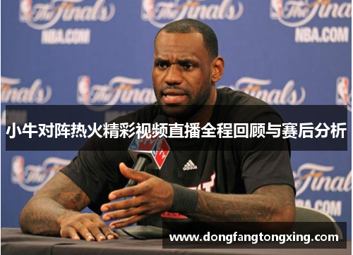 小牛对阵热火精彩视频直播全程回顾与赛后分析