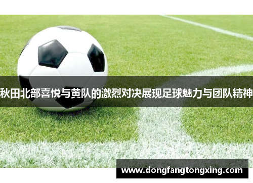 秋田北部喜悦与黄队的激烈对决展现足球魅力与团队精神